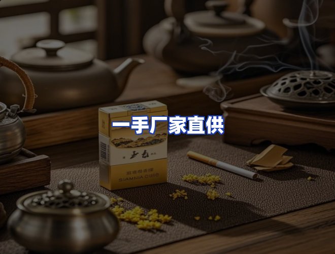 专业团队